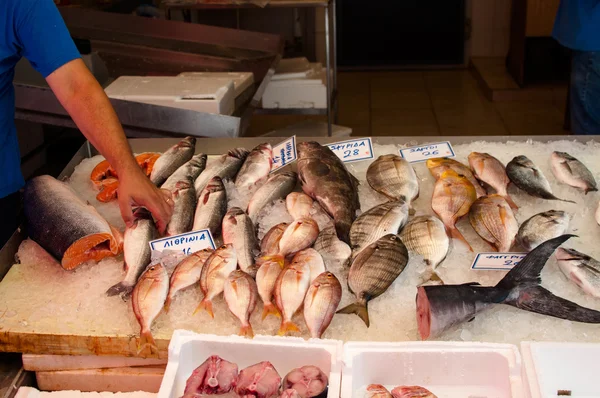 stock image Fish Market