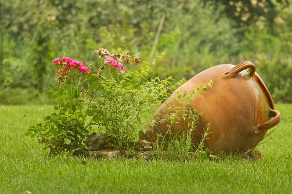 stock image Amphora