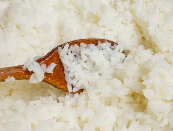 Rijst — Stockfoto