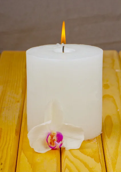 Κερί και ορχιδέα — Φωτογραφία Αρχείου