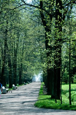 Peterhof bahçeleri