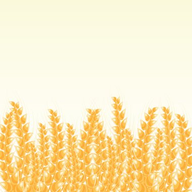 Wheat Post Card with Place for Text clipart