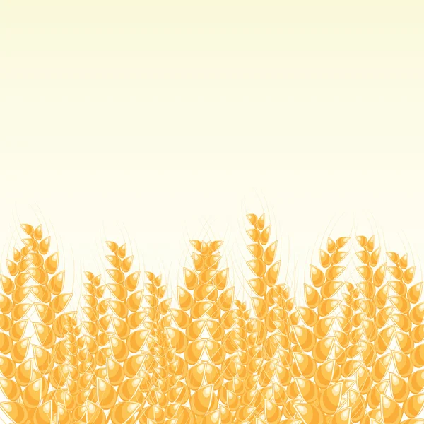Wheat Post Card with Place for Text — Stock Vector