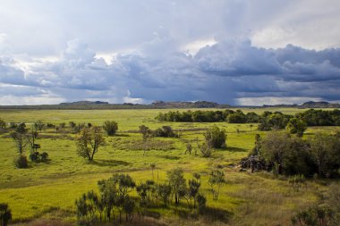 Kakadu National Park clipart