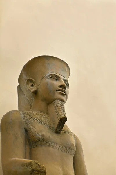 Pharaon — Photo