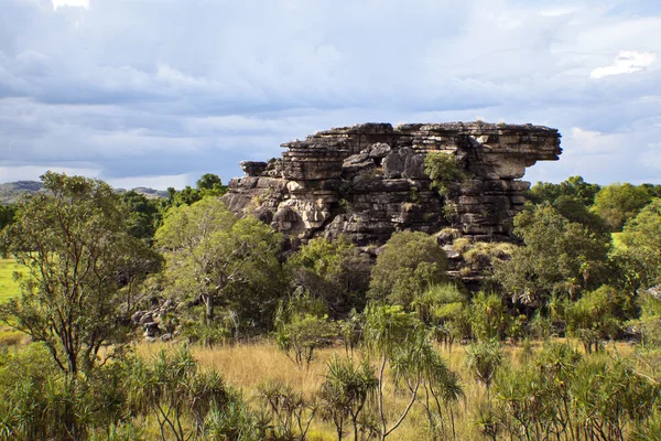 Kakadu Ulusal Parkı