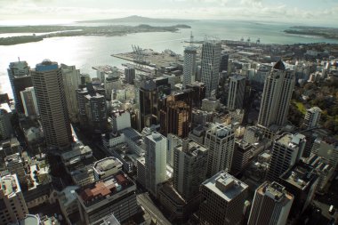 skytower Auckland city