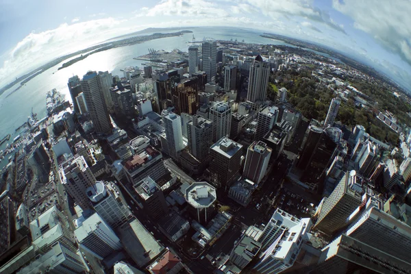 Окленд Сити с небоскреба — стоковое фото