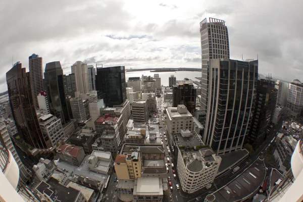 Auckland City — Stockfoto