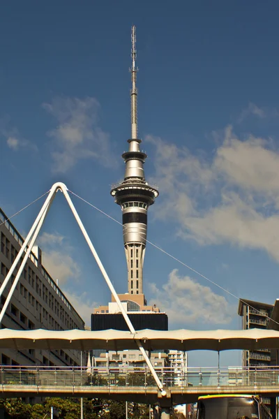 Skytower i auckland — Stockfoto