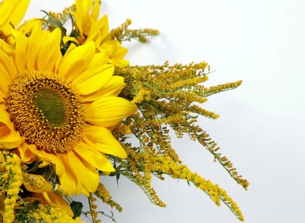 Bunch of sunflowers — Stock Photo, Image