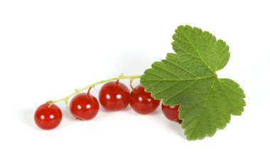 Redcurrants