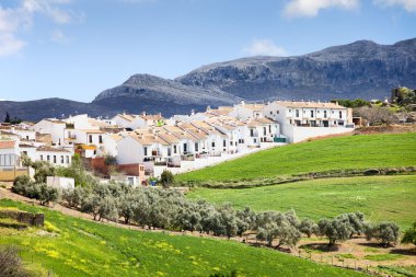 Real Estate Development in Ronda clipart