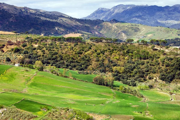 Andalusia Landscape — Stock Photo, Image
