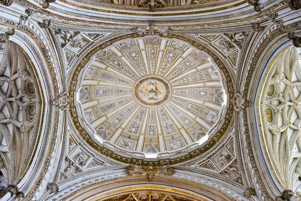 Mezquita kathedraal koepel plafond — Stockfoto