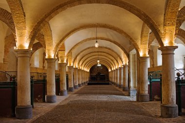 Royal Stables in Cordoba clipart