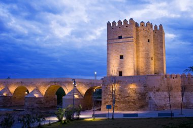 Calahorra Tower and Roman Bridge in Cordoba clipart