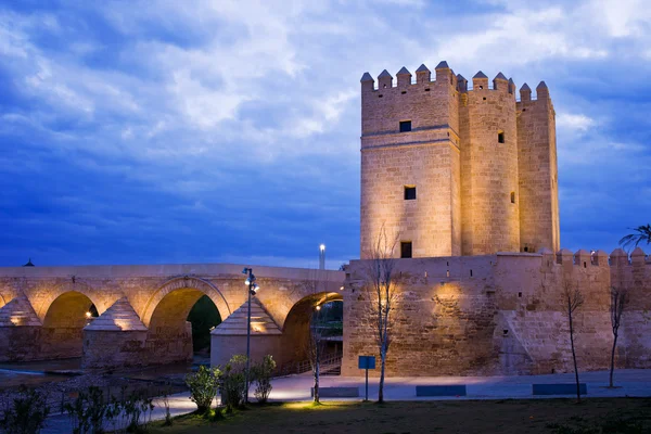 Torre de Calahorra e Ponte Romana em Córdoba — Fotografia de Stock