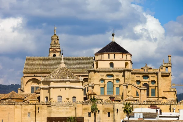 Catedral de Córdoba —  Fotos de Stock