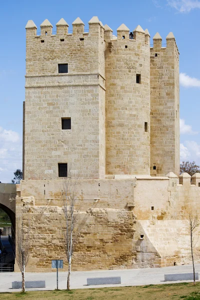 Torre de calahorra em córdoba — Fotografia de Stock