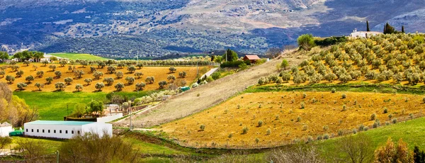 stock image Andalusia Countryside Panorama