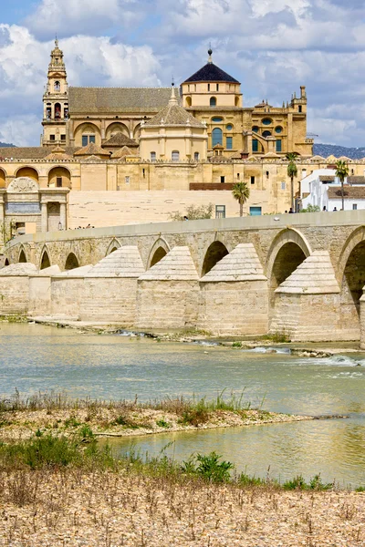 Kathedrale von Córdoba — Stockfoto
