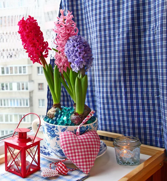 Zou samenstelling met een zaklamp en hyacinten — Stockfoto