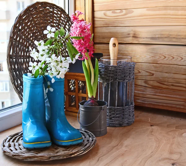 Gałązka kwitnienia wiśni w ciemny niebieski gumowy kolana boot. Seaso — Zdjęcie stockowe