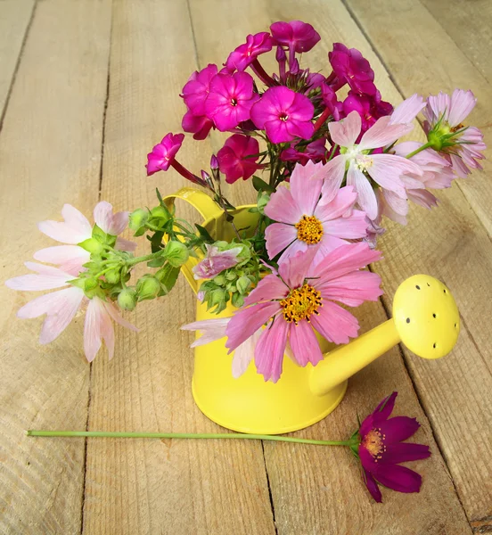 Bouquet of phloxes in a watering-can on a wooden background — Stock Photo, Image
