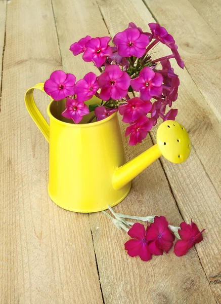 Buquê de floxes rosa em uma lata de rega em um fundo de madeira — Fotografia de Stock