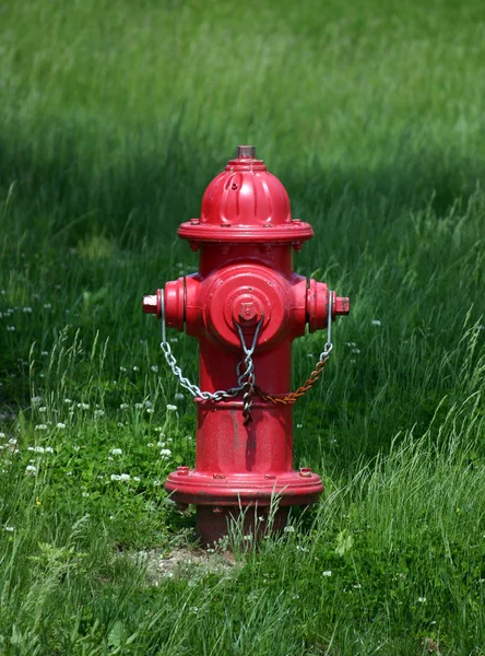 stock image Fire Hydrant
