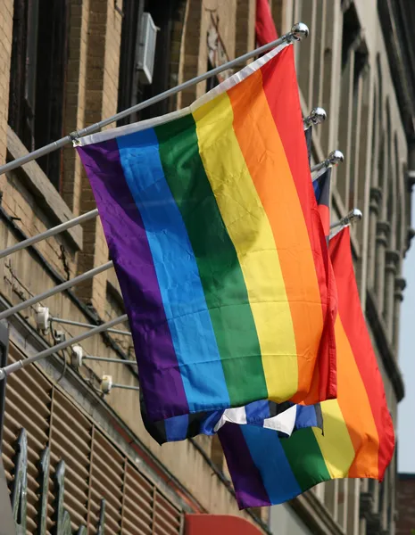 Gay pride flaggor — Stockfoto