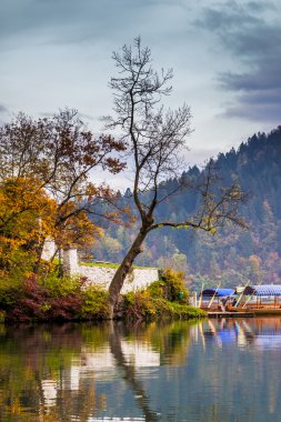 Gölle, Slovenya 'yla, Avrupa' yla kanadı