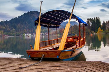 pletna, geleneksel Slovenya tekne, lake bled