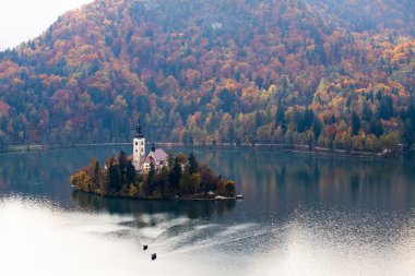 Gölle, Slovenya 'yla, Avrupa' yla kanadı