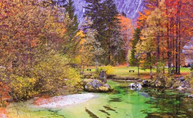 Emerald colored alpine river Soca , Isonzo, Slovenia clipart