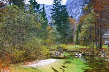 Zümrüt renkli dağ nehir soca, Isonzo, Slovenya