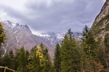 Kuzey Slovenya 'daki Alpler dağları