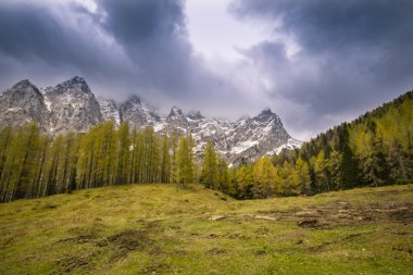 Kuzey Slovenya 'daki Alpler dağları