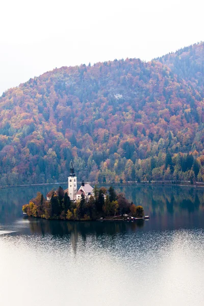 Разом з озером (Словенія, Європа). — стокове фото