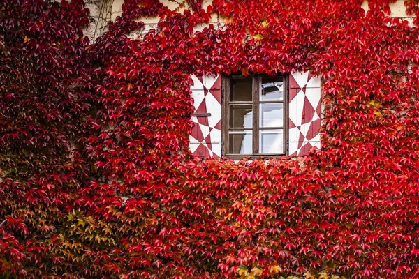 Okna domu na podzim — Stock fotografie