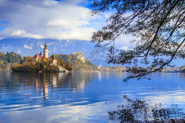 ヨーロッパ、スロベニア、湖に恵まれた — ストック写真