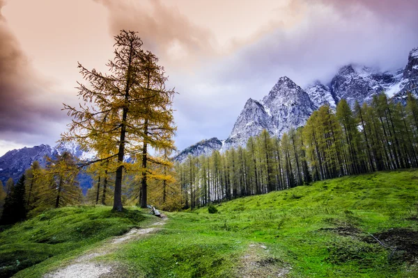 Alpit vuoret Pohjois-Slovenia — kuvapankkivalokuva