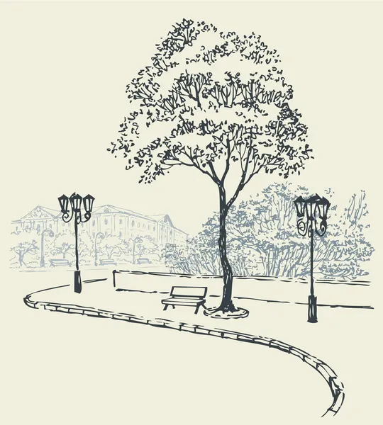 Paysage urbain vectoriel. Banc sous un arbre et lumières à l'extérieur du parc — Image vectorielle