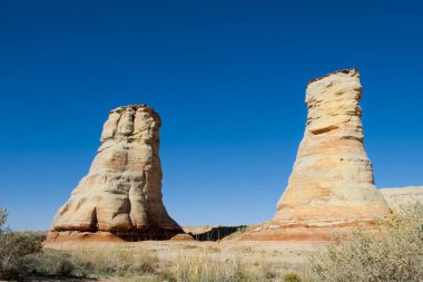 fil ayağı Arizona mavi gökyüzü altında.