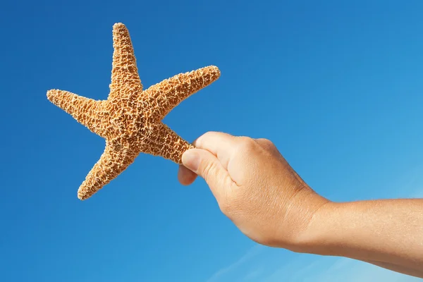 Deniz yıldızı elinde — Stok fotoğraf