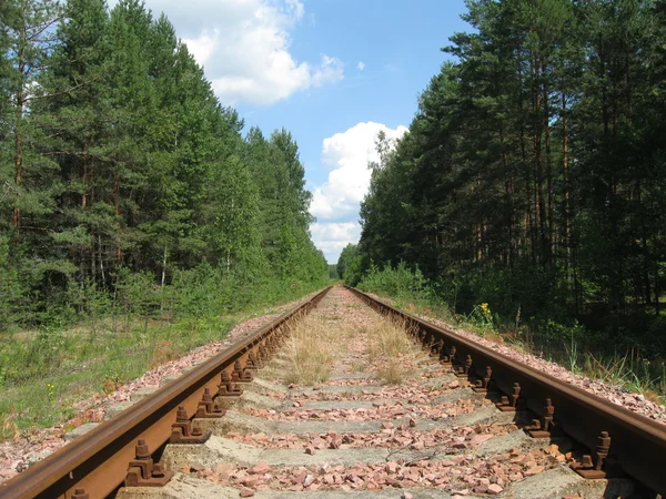 stock image The railway in wood