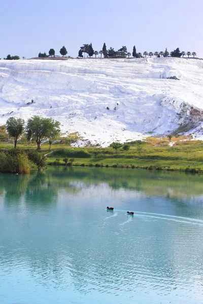 鸭子在湖上的钙化石灰石梯田上背景，p — 图库照片