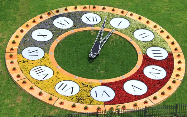 Clock flowerbed is estabished in Kiev as part of preparation for Euro 2012 — Stock Photo, Image