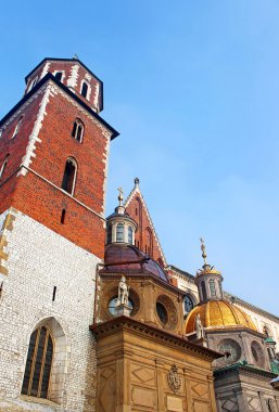 cracow wawel hill Katedrali'nde. Polonya